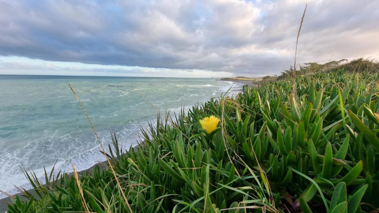 Kingsdown Manor B&B Timaru Eksteriør billede