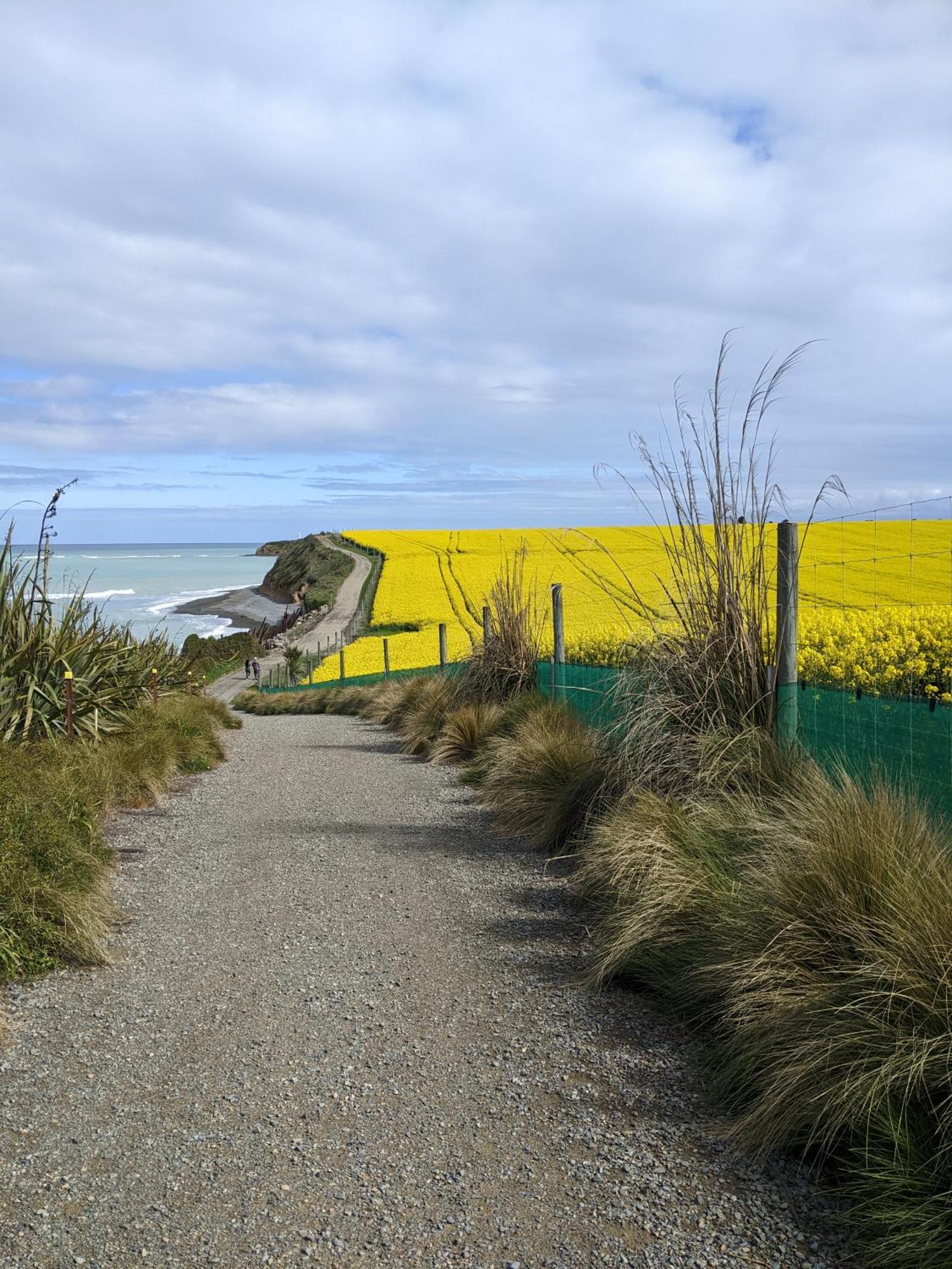 Kingsdown Manor B&B Timaru Eksteriør billede